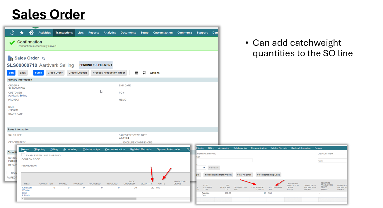 NetSuite Sales Order Screenshot