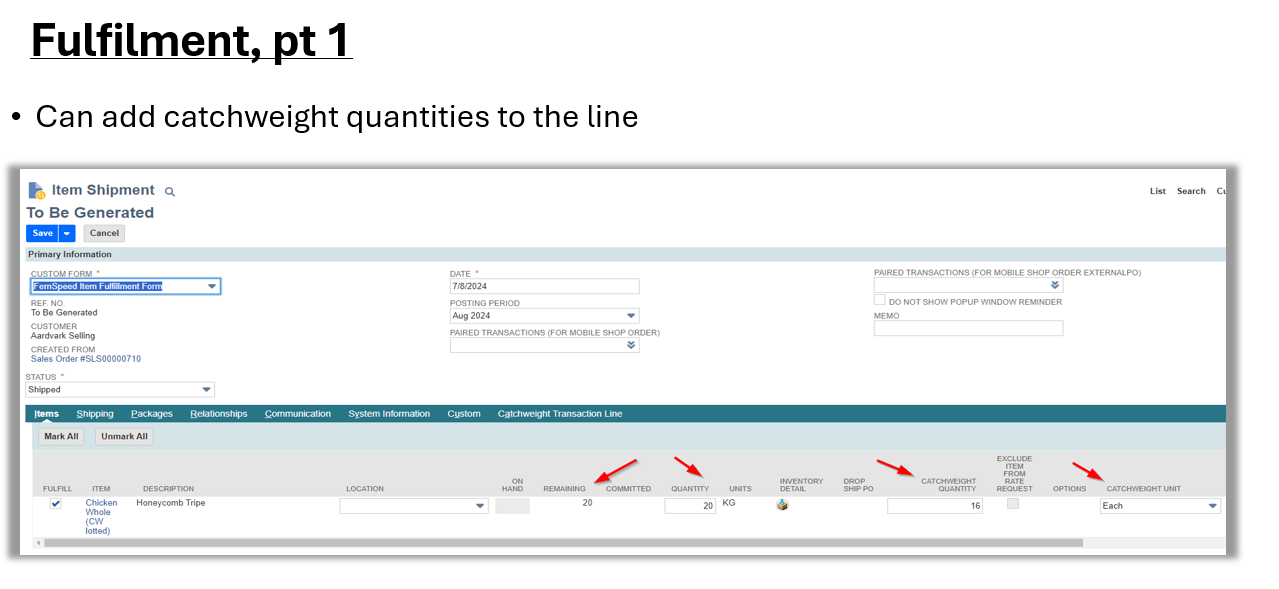 NetSuite Fulfillment Screenshot 1